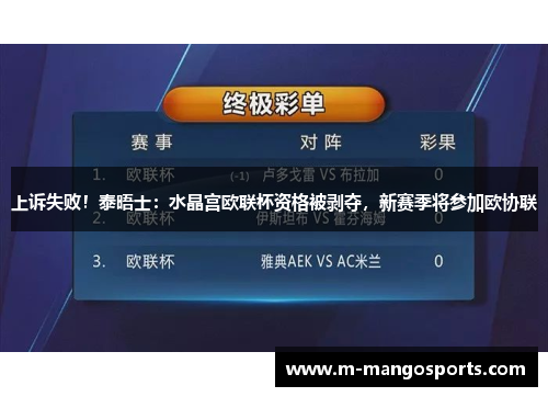 上诉失败！泰晤士：水晶宫欧联杯资格被剥夺，新赛季将参加欧协联
